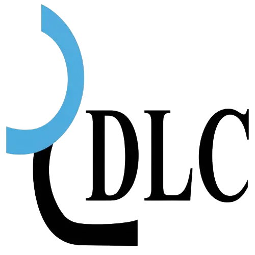 DEVELOPMENT LINKS CONSULT