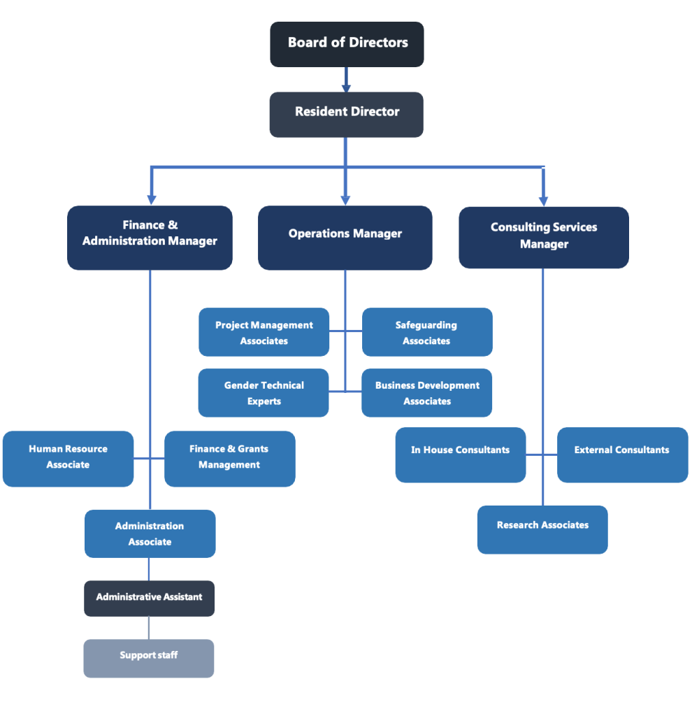 Development Links Consult (DLC) Company Organogram